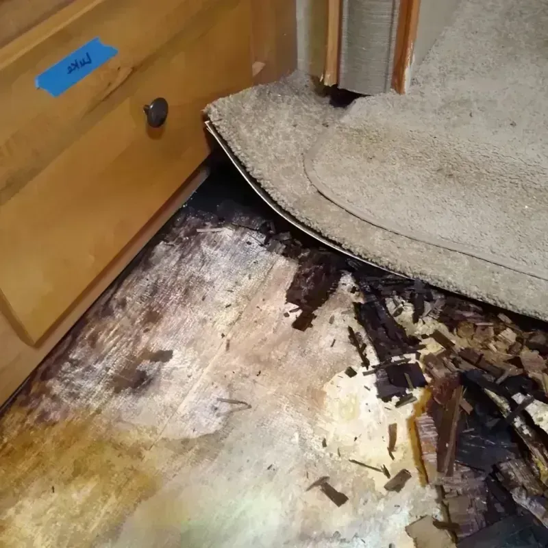 Best Wood Floor Water Damage Service in Port Vue, PA